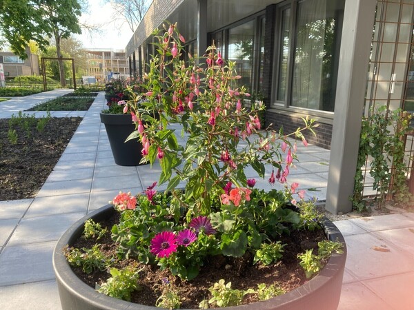 Impressies (exterieur)