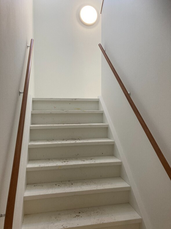 Impressies (verbouwing)