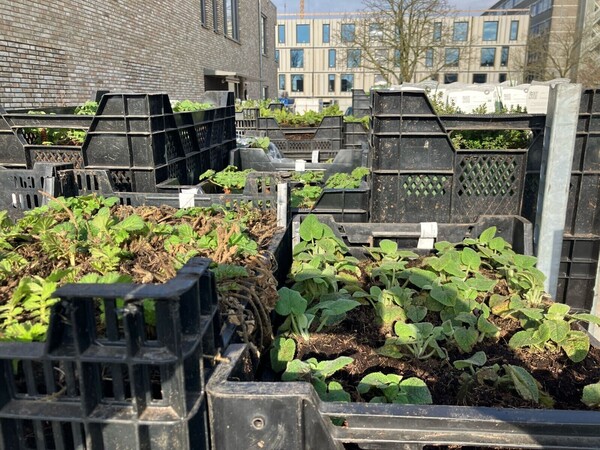 Impressies (verbouwing)